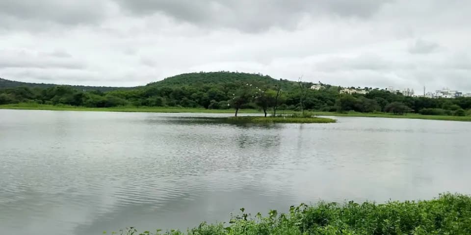 Pashan Lake and its green shoreline